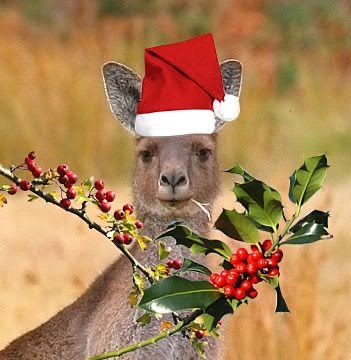 Christmas Art And Craft, Christmas Kangaroo, Beautiful Christmas Pictures, Australian Christmas Cards, Christmas Australia, Xmas Display, Christmas Cards Photography, Country Friends, Christmas Toppers