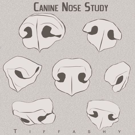 Nose Study, Colorful Dog Art, Canine Drawing, Dog Anatomy, Nose Drawing, 강아지 그림, Dog Nose, Animal Study, Canine Art