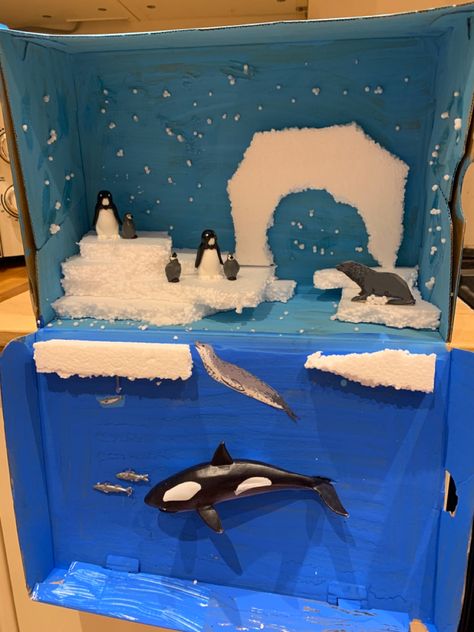 Antartic in a shoe box homework assignment Artic Animal Diarama, Artic Shoebox Project, Orca Diorama School Projects, Ocean Shoe Box Project, Diorama Ideas For Kids School Projects Shoe Box Animal Habitats, Shoe Box Habitat Projects, Shoe Box Diorama Projects, Orca Craft Preschool, Christmas Shoe Box Ideas