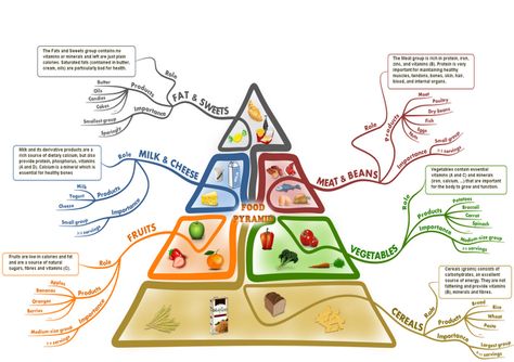 Food pyramid revisited with a creative mind map. Can be used with kids in classroom or home Best Mind Map, Creative Mind Map, Mind Map Art, Mind Map Free, Mind Map Template, خريطة ذهنية, Netflix Codes, Mind Diet, Food Pyramid