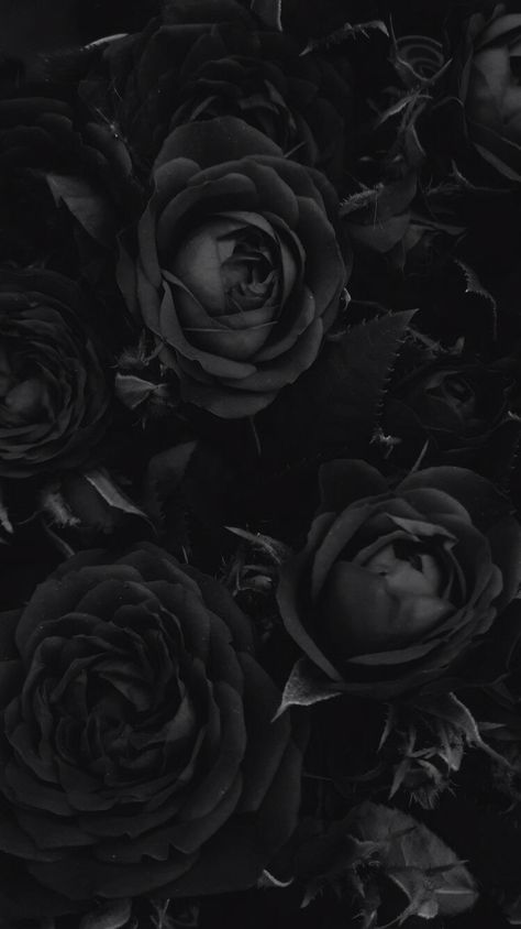 Wallpaper Samsung Galaxy, Black Roses Wallpaper, Vintage Foto's, Wallpaper Samsung, Gothic Wallpaper, Chic Lounge, Cute Black Wallpaper, Black Phone Wallpaper, Black Roses