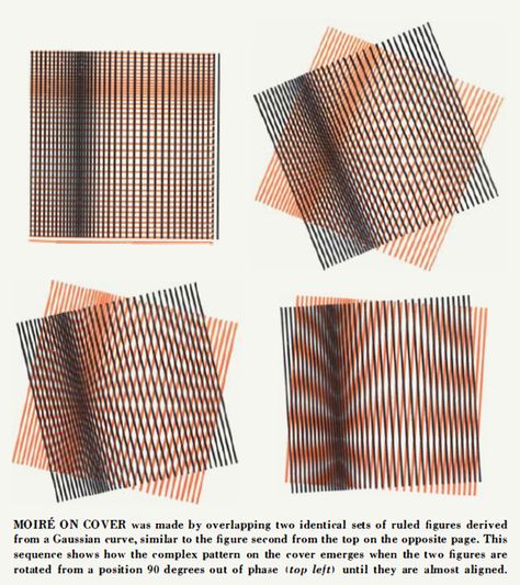 Moire Pattern Art, Interference Pattern, Lenticular Art, Moire Pattern, Scientific Art, Your 20s, Optical Art, Kinetic Art, Art And Science