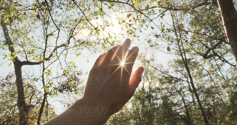 Hands In The Sky, First Person Point Of View, Point Of View Shot, Hands Video, Hand Video, Hope Video, Tree Video, Hands Reaching Out, Wellness Selfcare