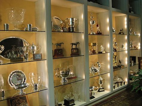 Trophy wall in entertainment area Trophy Rooms Awards, Awards Room Display, Trophies Display Ideas, Office Trophy Display Ideas, Trophy Case Ideas, Trophy Display Ideas Shelves, Trophy Wall Display Ideas, Trophy Room Ideas, Awards Display Wall