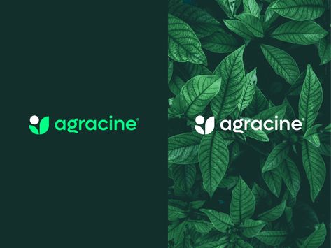 Agracine Logo Design - Branding - Icon - Flat Green Logo Design Ideas, Farm Branding Design, Agriculture Logo Design Ideas, Pot Logo Design, Leaf Logo Design Ideas, Vegetables Packaging, Eco Friendly Logo Design, Vegetable Logo, Branding Icon