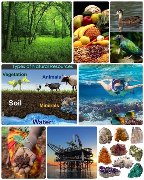 Natural resources inspired research board Nature, Study Tips, Natural Resources Pictures For Project, Natural Resources Pictures, Types Of Natural Resources, Research Board, Study Tips For Students, Fashion Designing, Natural Resources