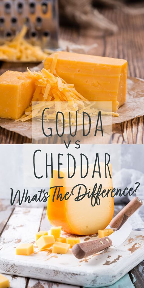 Cheddar vs. Gouda: The ultimate cheese showdown! Discover the differences and similarities between these two beloved cheeses. From the sharp, tangy flavor of cheddar to the smooth, creamy goodness of gouda. Get ready to dive into a cheesy debate and decide which one gets a prime spot on your cheeseboard. Recipe Using Carrots, Gouda Cheese Recipes, Gouda Recipe, Cheese Crust, Cheese Pairings, Gouda Cheese, Smoked Gouda, Cheese Tasting, Gruyere Cheese