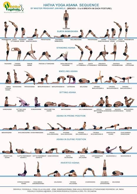 Bikram Yoga Poses, Hata Yoga, Yoga Flow Sequence, Yoga Ashtanga, Ashtanga Vinyasa Yoga, Yoga Vinyasa, Kriya Yoga, Poses For Beginners, Yoga Sequence