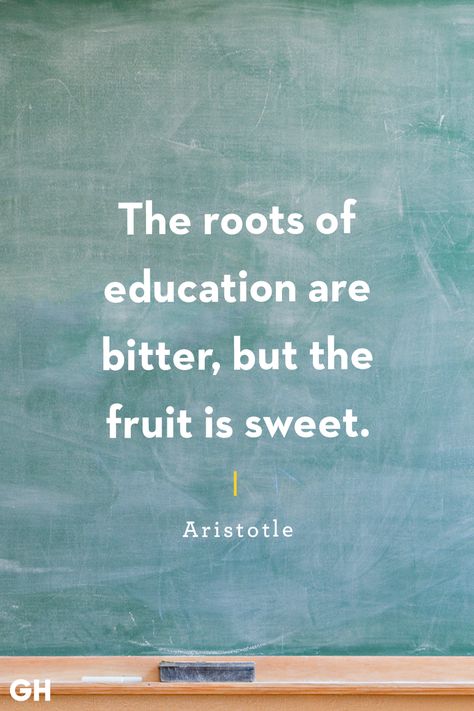 Thoughts On Education, Back To School Quotes, Career Counselling, Education School, Study Quotes, Education Motivation, Education Quotes For Teachers, School Quotes, Learning Quotes