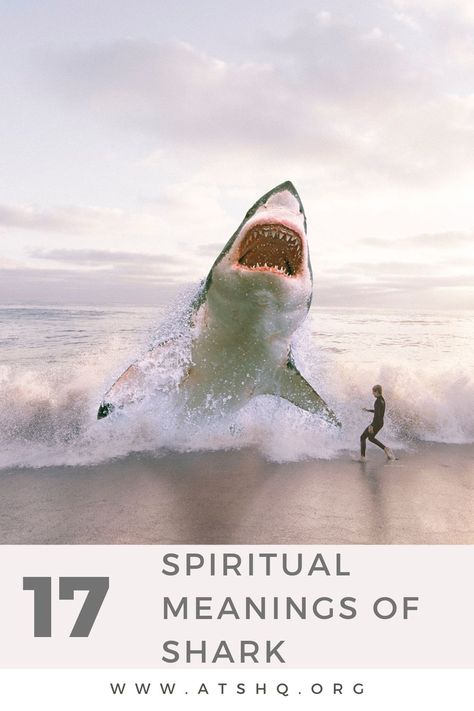 17 Spiritual Meanings Of Shark Shark And Dolphin Tattoo, Whale Shark Tattoo Meaning, Unique Shark Tattoo, Shark Symbolism, Great White Shark Tattoo, Shark Meaning, Shark Tattoo Meaning, Shark Quotes, Shark Tooth Tattoo