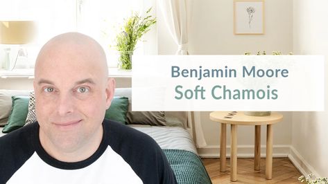 Benjamin Moore Soft Chamois Color Review by Jacob Owens Benjamin Moore Soft Chamois, Healing Aloe Benjamin Moore, Soft Blue Paint Colors, Benjamin Moore Sea Salt, Soft Chamois, Taupe Paint Colors, Color Consultant, Grant Beige, Sea Salt Sherwin Williams