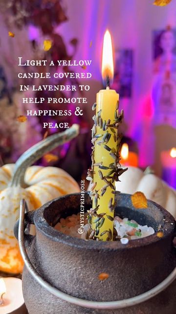 LILLY STATHAM | Witchcraft & IG COACH 💜 on Instagram: "Yellow candles are often associated with positive energies and happiness & Lavender can having a calming and peaceful impact on your body ✨🕯Make sure to spend time concentrating on your intention as this is what ensures that the spell is a success!" Yellow Candle Spell, Witches Spells, Happiness Spell, Wicca Recipes, Candle Magic Spells, Hoodoo Spells, Witch Rituals, Teen Witch, Yellow Candles