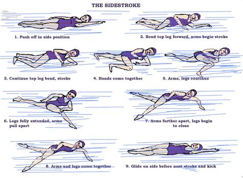 Swimming: The Sidestroke Swimming Drills, Swimming Strokes, Deep Sea Diving, Swimming Tips, Diagram Design, Swimming Workout, Swimming Diving, Beauty And Fashion, Cartoon Drawings