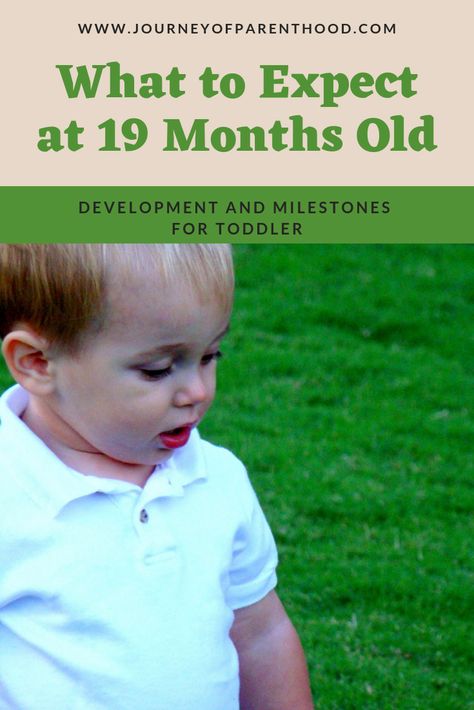 What to expect at 19 months old - development and milestones to look for with your toddler and how to know if he or she is on target and meeting their milestone markers. #toddlerboy #toddlerlife #toddlerdevelopment 10 Month Milestones, Developmental Milestones Chart, Milestone Chart, 19 Month Old, Milestone Markers, Toddler Milestones, Teaching Manners, Guess Kids, Developmental Milestones