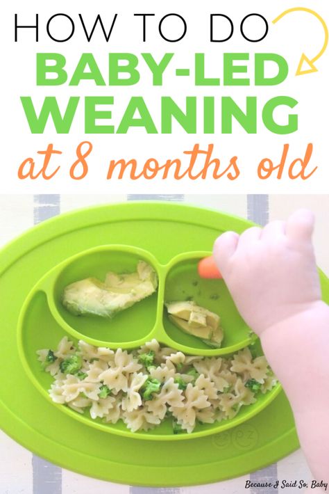 Easy Meal Ideas for an 8 Month Old | What to feed an 8 month old using baby-led weaning | 8 month old feeding schedule | 8 month old meal ideas | #babyledweaning #selffeeding #8monthold #feedingschedule #howto #nutritious #firstfoods Feeding 9 Month Old, What To Feed 8 Month Old, Good Ideas For 8 Month Old, 8 Month Old Solid Food Ideas, Baby Led Weaning 8 Months Old, Feeding Schedule 8 Month Old, 8 Month Feeding Schedule, 8 Months Baby Food Recipes, Foods To Feed 9 Month Old