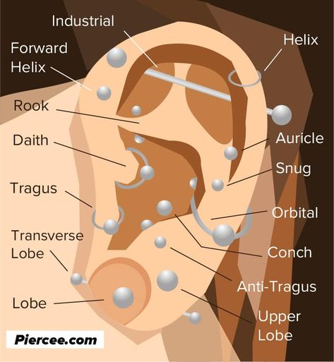 Piercing Diagram, Piercing Anatomy, Ear Piercing Diagram, Ear Piercing Chart, Ear Diagram, Pierce Ear, Ear Piercing Names, Piercings Chart, Piercing Healing