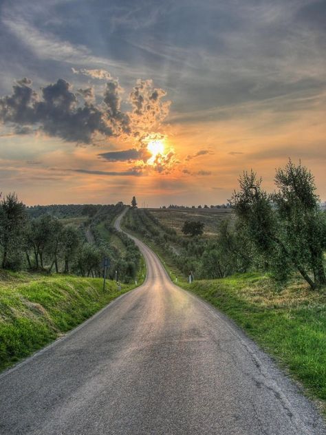 Color Perspective, Italy Sunset, Empty Road, Beautiful Roads, Country Roads Take Me Home, Beautiful Places In The World, Country Road, Beautiful Places To Visit, Landscape Photos