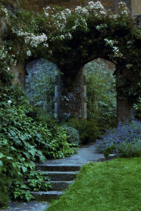 Garden Pathways, Dreamy Garden, Flowers Growing, Gothic Garden, Cottage Gardens, Secret Gardens, The Secret Garden, Summer 3, Enchanted Garden