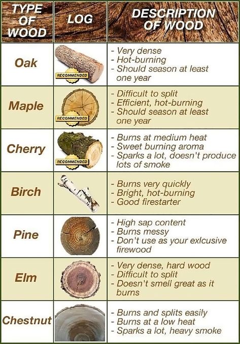 Infographic: Types of Firewood | RECOIL OFFGRID Into The Wood, Survival Life Hacks, Wood Burning Crafts, Homestead Survival, Survival Life, Wood Burning Art, Wilderness Survival, Into The Woods, Camping Ideas