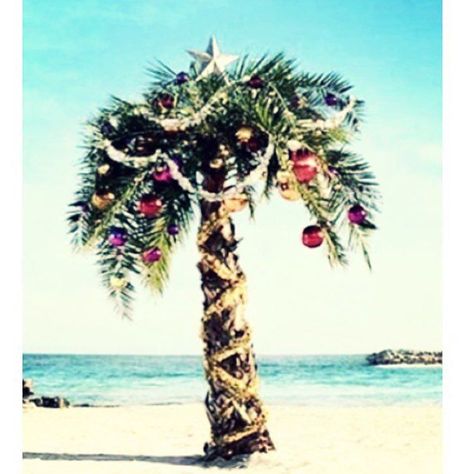 Merry Christmas Christmas Palm Tree, Florida Christmas, Hawaiian Christmas, Tropical Christmas, Colonial Christmas, Merry Christmas Images, Beach Christmas, Coastal Christmas, Christmas Images