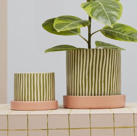 🔦 A mini spotlight on our Melancia Pot with Saucer Set of 2⁠. Tap to shop both sizes! 🪴 #paynesgray Unique Planters Indoor, Diy Painted Plant Pots, Aesthetic Planters, House Plant Aesthetic, Hand Painted Plant Pots, Planter Painting, Ceramic Pots For Plants, Room With Color, Pottery Plant Pot