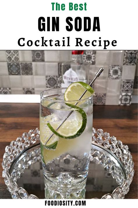 Gin And Coke, Easy Gin Cocktails, Gin And Soda, Tequila Soda, Bar Utensils, Vodka Tonic, Best Gin, Soda Drink, Gin Cocktail Recipes