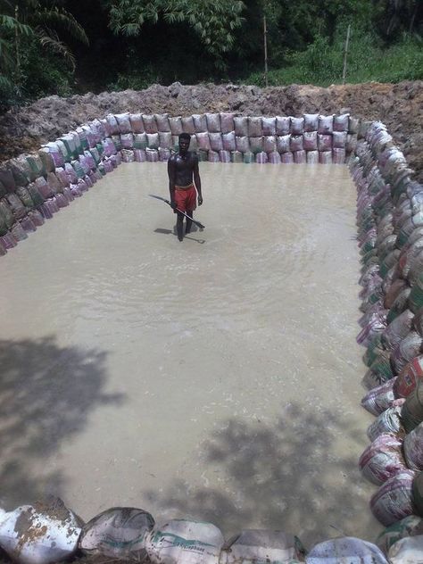 Catfish Farming, Waste Management, A Pond, Catfish, Agriculture, Architecture