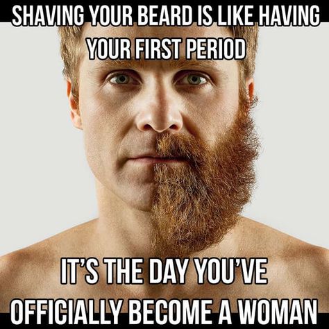 beard-meme-9 50 Funny Beard Memes That'll Definitely Make You Laugh Funny Facial Memes, Beard Quotes Funny, Growing Facial Hair, Mustache Memes, Beard Quotes, Barber Memes Humor, Barber Memes, Thick Beard, Beard Humor