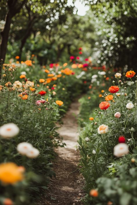 15 wildflower border garden ideas | Home for the Harvest California Wildflower Garden, Wild Flower Fields, Wild Flower Bed, Wild Flower Garden Ideas, Wildflower Front Yard, Wildflower Garden Front Yard, Wildflower Landscaping, Border Garden Ideas, Wildflowers Aesthetic