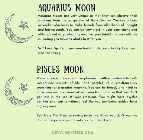 Pisces moon Archer Woman, Sun In Libra, Venus In Leo, Leo Moon, Birth Charts, Astrology Houses, Chart Astrology, Moon In Leo, Pocket Rocket