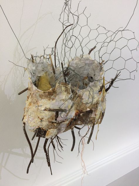 Natural Materials Sculpture, Paper Pulp Sculpture, Paper Pulp Art, Wire Paper Mache Sculpture, Fiona Campbell, Wire And Plaster Sculpture, 3d Installation, Metal Bird Nest Sculpture, Mould And Decay Textiles