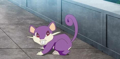 Rattata Pokemon Art, Alolan Rattata, Rattata Pokemon, Istp Istj, 3d Pokemon, Pokemon Stories, Cartoon Superhero, All Anime Characters, Pokémon Stuff