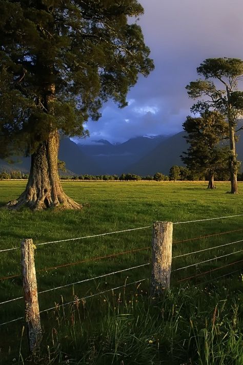 country Country Fences, Green Field, Have Inspiration, Country Scenes, Country Life, Country Living, Farm Life, 그림 그리기, Pretty Pictures