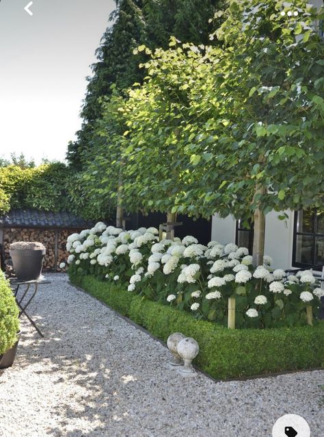 Hydrangeas On Side Of House, Aesthetic Backyard Ideas, Cottage Garden Modern, Garden Design French, Modern Garden Art, Aesthetic Backyard, Moderne Have, Car Home Decor, Hydrangea Landscaping