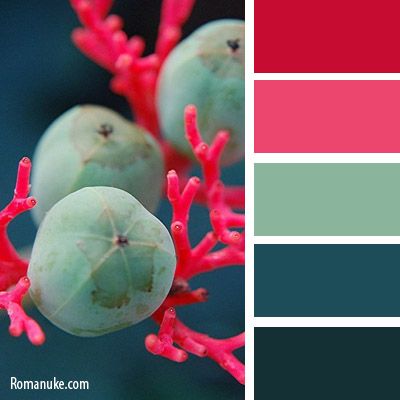 Teal Matching Colors, Pink Red Teal Color Palette, Red And Teal Color Palette, Odd Color Palette, Teal And Red Color Palette, Odd Color Combinations, Interesting Color Combinations, Deep Teal Color Palette, Bathroom Blue