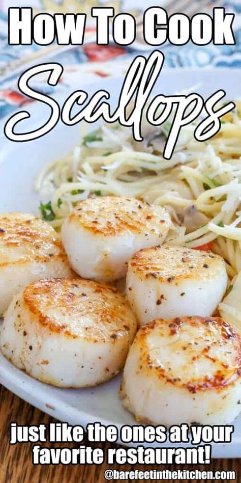 Scallop Recipes Healthy, Cook Scallops, Shrimp And Scallop Recipes, Easy Scallop Recipes, Dinner Seafood, Seafood Dinner Recipes, Youtube Recipes, How To Cook Scallops, Seafood Dish Recipes