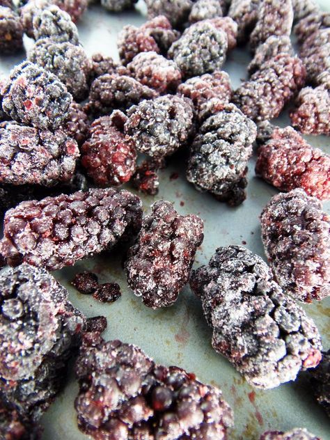 Freeze Blackberries, Freeze Cherries, Frozen Fruit Snacks, Fresh Fruit Desserts, How To Freeze Blackberries, Freezing Fruit, Freezing Apples, Black Berries, Blackberry Recipes