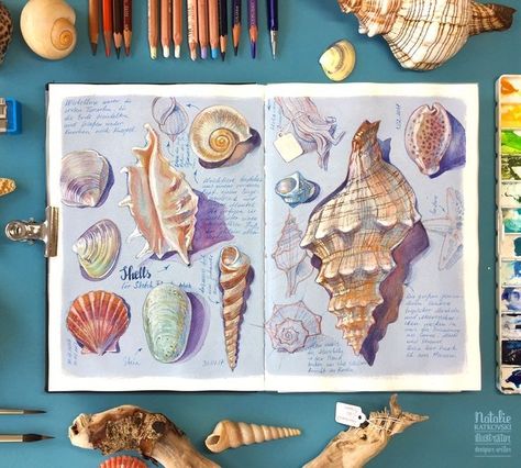 Sealife Drawing, Drawing Fish, Shell Drawing, Nature Exploration, Sketchbook Layout, Drawing Patterns, Gcse Art Sketchbook, A Level Art Sketchbook, Observational Drawing