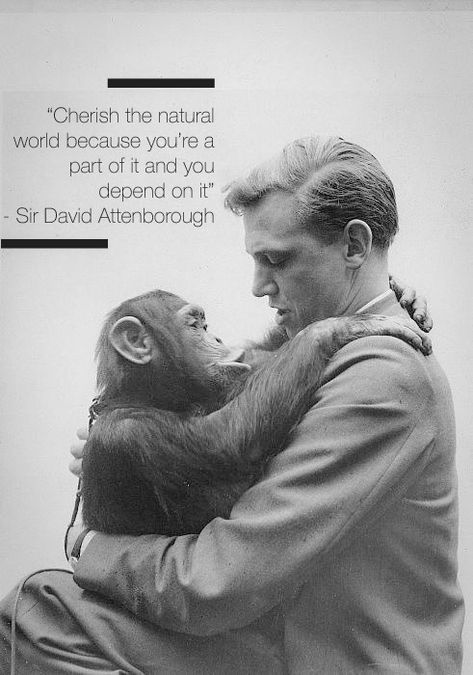 David Attenborough, Animals, Nature, BBC, Earth, Planet Earth David Attenborough Quotes, David Attenborough, Hakone, Charles Darwin, The Embrace, Inspirational People, Natural History, Natural World, Good People