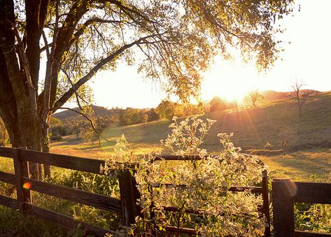 I want this to be what I see outside my window each day. Iggy Azalea, Green Gables, Nature Aesthetic, Pretty Places, Art Plastique, Country Life, Farm Life, Beautiful World, Beautiful Landscapes