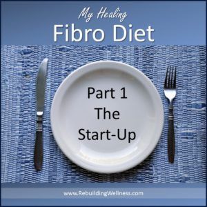 Fibro Diet, Pancreatic Diet Recipes, Paleo Plan, Chronic Fatigue Symptoms, Natural Healing Remedies, Gluten Sensitivity, Nutrition Diet, High Cholesterol, Chronic Fatigue