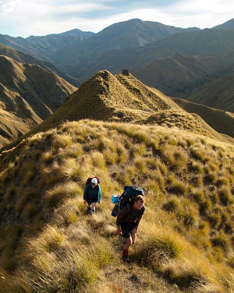 Hiking 101, Te Araroa, Thailand Activities, Beach Activities, Auckland New Zealand, New Zealand Travel, Koh Tao, Queenstown, Day Hike