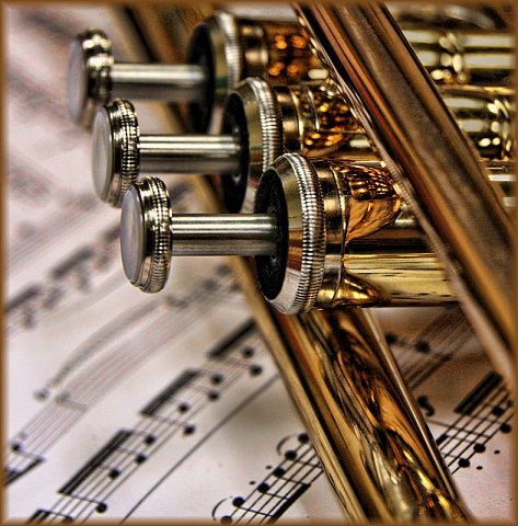 Brass Music, Trumpet Music, Vision Book, Strange Music, Brass Instruments, Band Photography, Band Kid, Music And Movement, Smooth Jazz