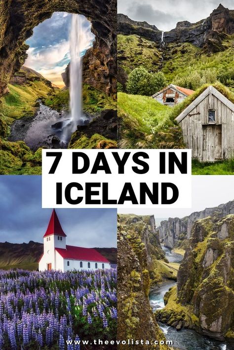 7 Days In Iceland, Places In Iceland, Things To Do In Iceland, Iceland Ring Road, Road Trip Tips, Iceland Vacation, Iceland Travel Guide, Iceland Travel Tips, Iceland Itinerary