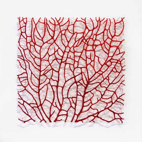 Meredith Woolnough, Coral Artwork, Coral Sculpture, Water Soluble Fabric, Specimen Collection, Coral Art, Organic Pattern, Thread Painting, Textile Artist