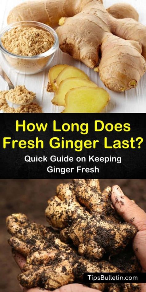 How To Keep Ginger Root Fresh, Recipes With Fresh Ginger, Ginger Root Recipes, Storing Fresh Ginger, How To Store Ginger, Pantry Refrigerator, Ginger Wraps, Vegetable Crisps, Ginger Benefits