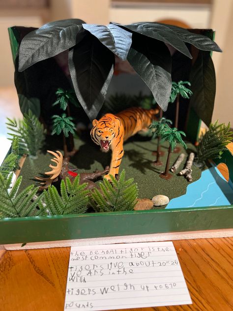 3d Zoo Project, Tiger Habitat Project, Animal School Project Ideas, Cheetah Habitat Diorama, Tiger Diorama Habitat, Animal Diorama Habitats, Jaguar Diorama, Cheetah Diorama, Lion Diorama