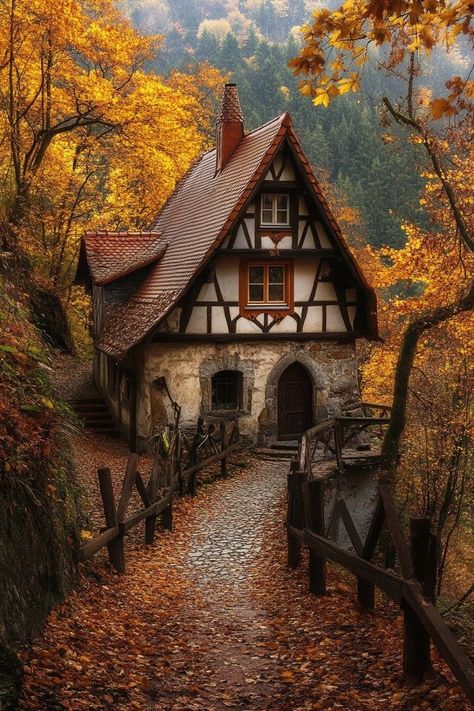 "Discover the enchanting autumn beauty of Bavaria! 🍂🏰 From colorful forests to picturesque villages, immerse yourself in the season’s charm in this German gem. 🍁🍺 #BavariaAutumn #FallInGermany #TravelBavaria" Germany, Travel, Bavaria, Travel Destinations, Beauty, Bavaria Germany, Autumn Beauty, Rainy Days, Forest