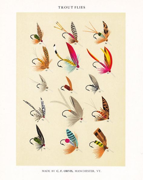 Fly Fishing Girls, Vintage Fly Fishing, Fishing Basics, Fly Fishing Art, Fly Fishing Lures, Trout Flies, Fly Fishing Tips, Fish Illustration, Fishing Girls