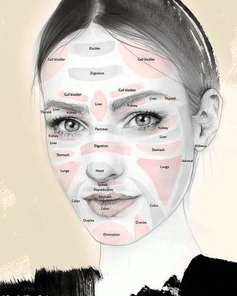 Your face tells a story....Where pigmentation develops, where breakouts occur, where lines & wrinkling form is all part of face diagnosis… Face Acupuncture Points, Face Mapping Health, Facial Reflexology Chart, Face Reflexology Chart, Chinese Face Map, Face Reflexology, Facial Reflexology, Internal Health, Quadrants Of The Abdomen